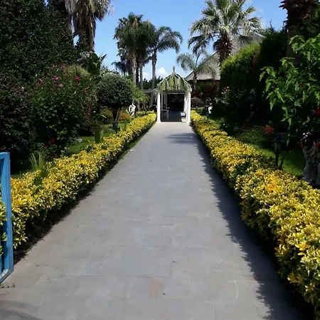Belvedere